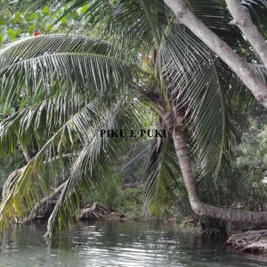 DSCF2062.JPG