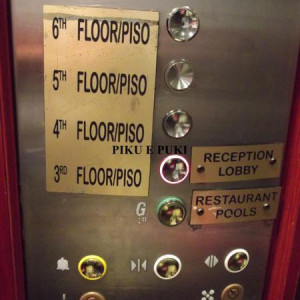 DSCF3850.JPG