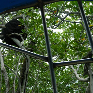 DSCN4898 (800x600)