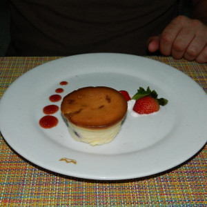 DSCN4293   Cópia (800x600)