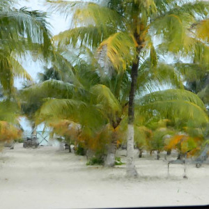 DSCN4852 (800x600)