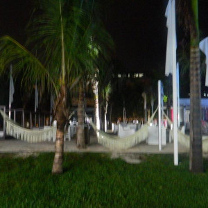 DSCN4190 (800x600)