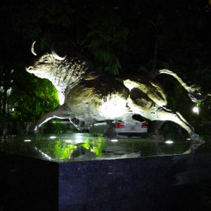 DSCN4308 (800x600)