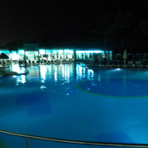 DSCN4205 (800x600).jpg