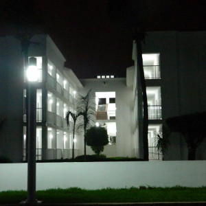DSCN4312 (800x600).jpg