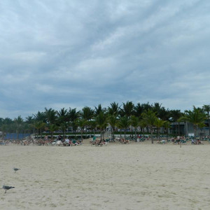 DSCN4247 (800x600).jpg