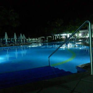 DSCN4296 (800x600).jpg