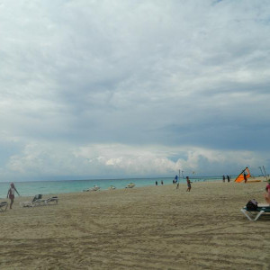 DSCN4231 (800x600).jpg
