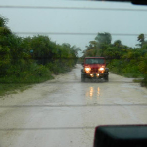 DSCN4850 (800x600).jpg