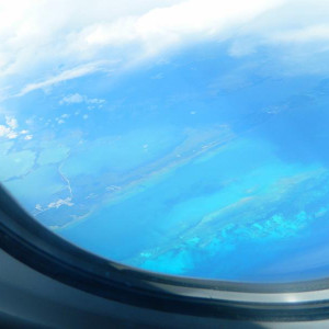 DSCN4134 (800x600).jpg
