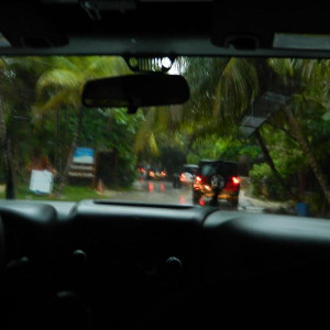 DSCN4825 (800x600).jpg