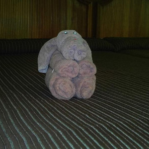 Boneco toalha