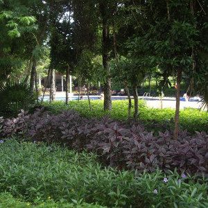 Cobetura piscinas