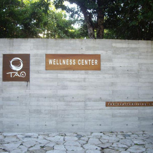 Tao1.JPG