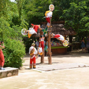 X-Caret 4.JPG