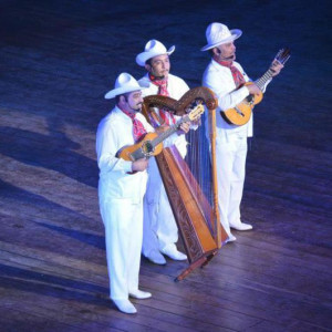 X-Caret 14.jpg