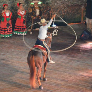 X-Caret 15.jpg