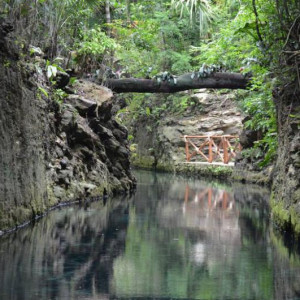 X-Caret Rio Paraiso 1.jpg