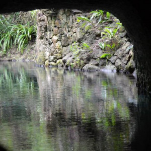 X-Caret Rio Paraiso 2.jpg