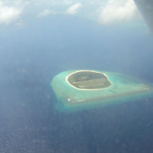 DSC01161