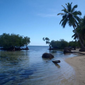 P9260156