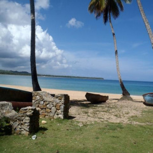 PA010060
