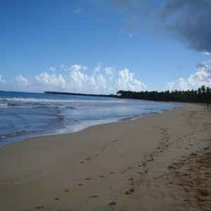 PA020002