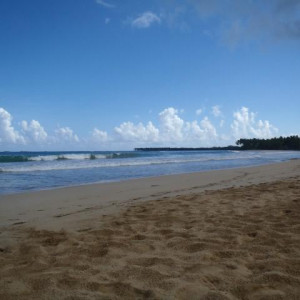 PA020005