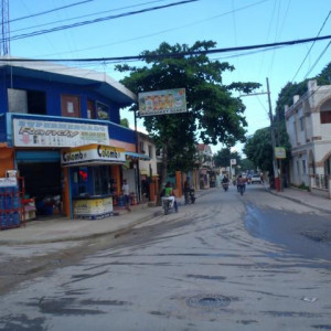 PA020062