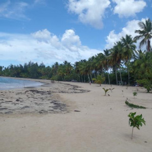playa bonita