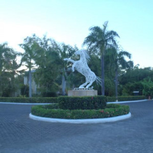 PA010106