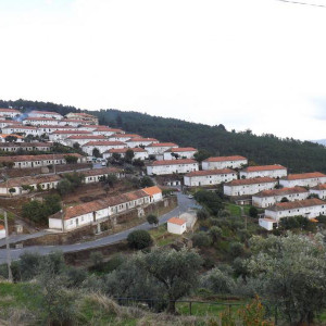 DSCF0990