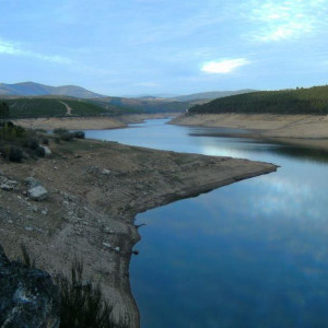 PICT0179