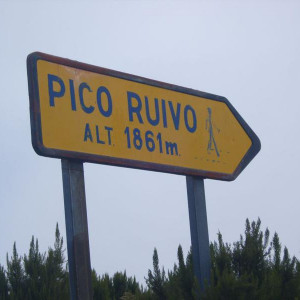 320