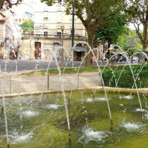 DSC03044JardimSádaBandeira Coimbra [640x480]p