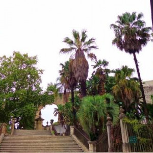 DSC03231JardimBotânico-Coimbra [640x480]p.JPG