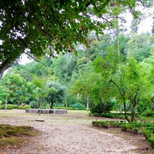 DSC03246JardimBotânico-Coimbra [640x480]p.JPG