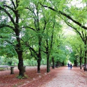 jardim botanico [640x480]p.jpg