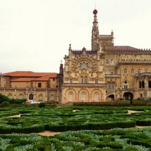DSC03152Bussaco [640x480]p