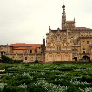 DSC03155Bussaco [640x480]p