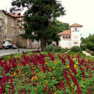 DSC03166Bussaco [640x480]p