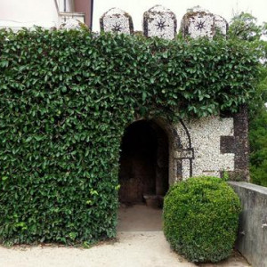 DSC03169Bussaco [640x480]p