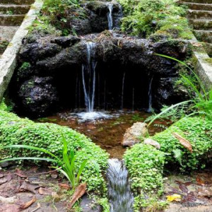 DSC03190FonteFria Bussaco [640x480]p