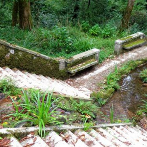 DSC03197FonteFria Bussaco [640x480]p