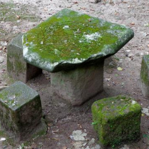 DSC03203Bussaco [640x480]p