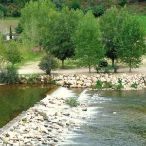 DSC03224PraiaFluvialdePalheiroseZorro TorresdoMondego [640x480]p