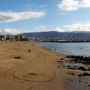SR020287 (Cópia).JPG