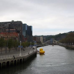SR110369 (Cópia).JPG