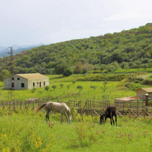 SICILIA 6 211m