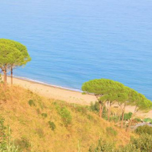 SICILIA 6 542